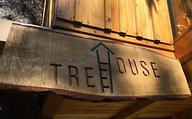 Tree House Alpinka Krvavec