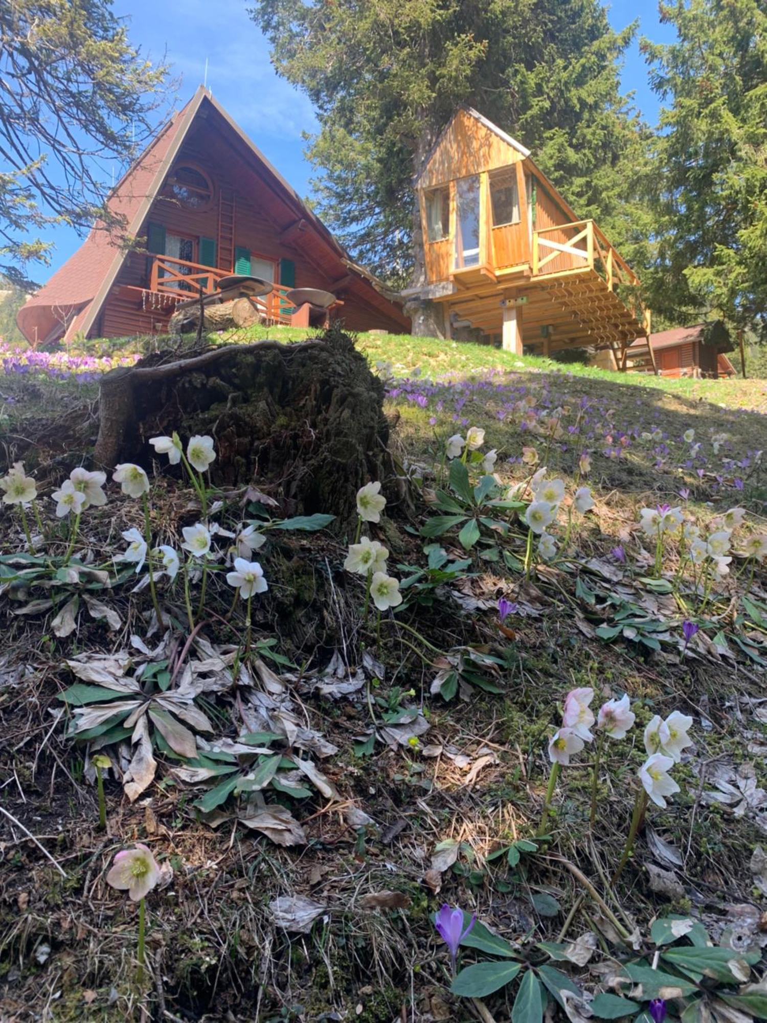 Villa Tree House Alpinka Krvavec Cerklje na Gorenjskem Exterior foto